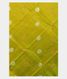 Parrot Green Kanjivaram Silk Dupatta T797991
