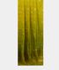 Parrot Green Kanjivaram Silk Dupatta T797992