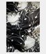 Black Printed Silk Saree T150791 (B)3