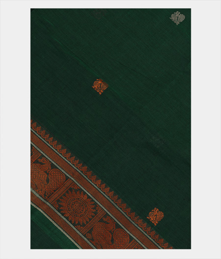 Green Kanchi Handwoven Cotton Saree T178943-image