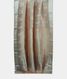 Cream Organza Embroidery Saree T1838032