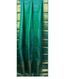 Green Kanjivaram Silk Dupatta T1639612