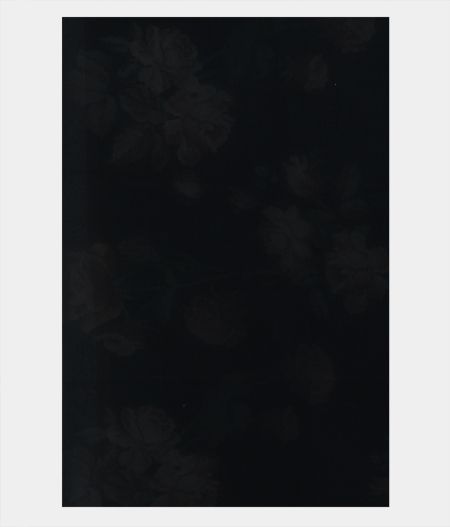 Black Georgette Printed Silk Saree T1893703