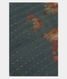 Bluish Green Tussar Printed Saree T1871951