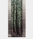 Beige Tussar Printed Saree T1446542