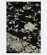 Black Organza Embroidery Saree T1900381