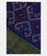 Blue Pochampalli Silk Cotton Saree T1886691
