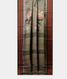 Light Green Vidarbha Tussar Printed Saree T1915822