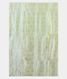 Light Blue Banaras Tissue Silk Saree T1932763