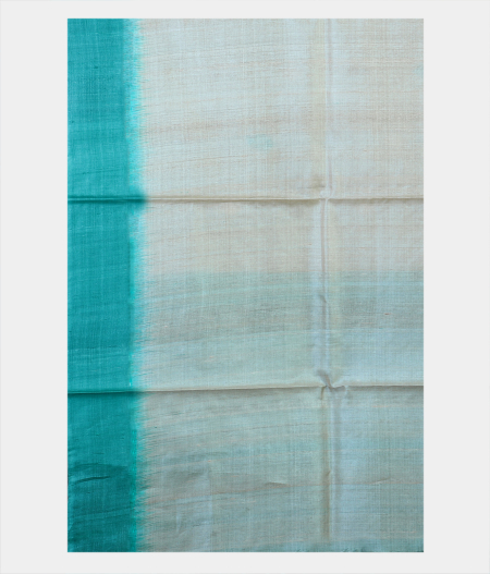 Beige Handwoven Tussar Saree T1667863