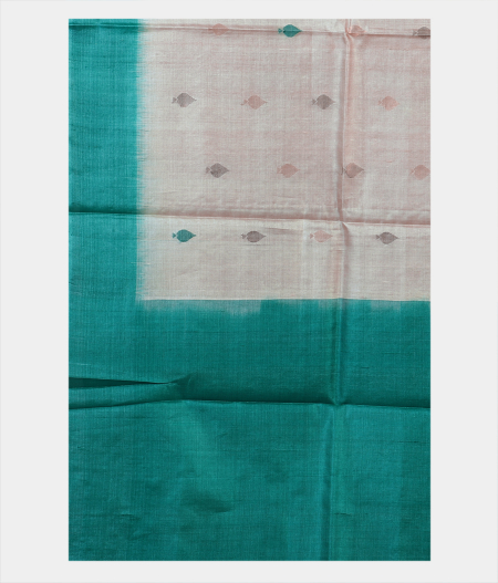 Beige Handwoven Tussar Saree T1667864