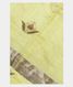 Yellowish Green Banaras Tissue Silk Saree T1932631