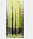 Yellowish Green Banaras Tissue Silk Saree T1932632