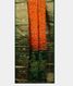 Orange Pochampalli Silk Cotton Saree T1887192