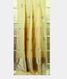 Yellowish Green Banaras Tissue Silk Saree T1932822