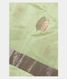 Yellowish Green Banaras Tissue Silk Saree T1933021