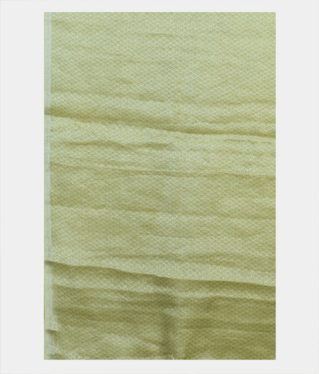 green-chiffon-embroidery-silk-saree-t186125-t186125-c