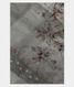 Greenish Grey Kora Organza Embroidery Saree T1990941