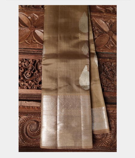 Beige Kora Organza Kanjivaram Silk Saree T192918-image