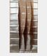 Beige Kora Organza Kanjivaram Silk Saree T1929182