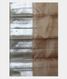 Beige Kora Organza Kanjivaram Silk Saree T1929183