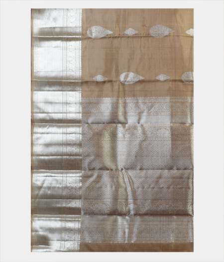 Beige Kora Organza Kanjivaram Silk Saree T1929184