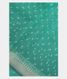 Green Banaras Organza Saree T1990981