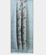 Light Blue Tissue Organza Printed Saree  T1988012
