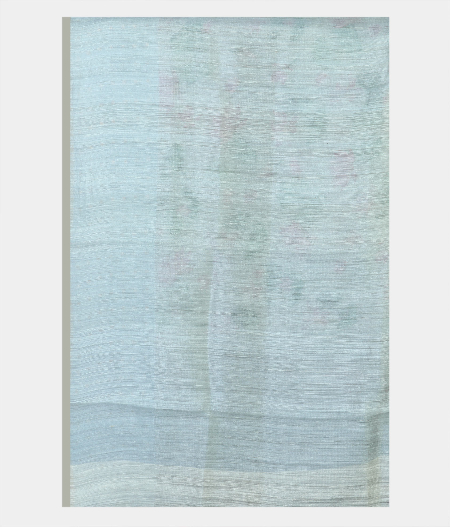 Light Blue Tissue Organza Printed Saree  T1988013