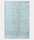 Light Blue Tissue Organza Printed Saree  T1988013