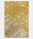 Yellow Banaras Organza Saree T1991011