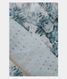 Light Blue Tissue Organza Printed Saree T1987921