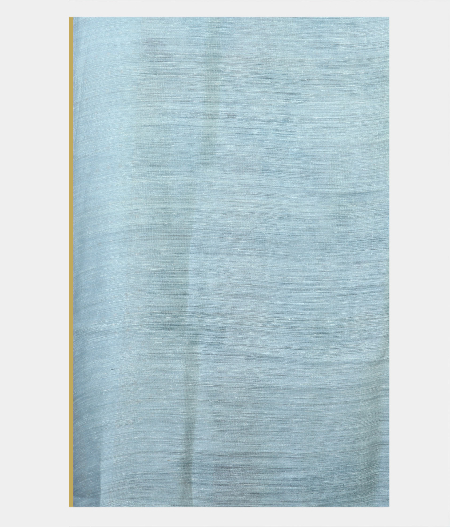 Light Blue Tissue Organza Printed Saree T1987923