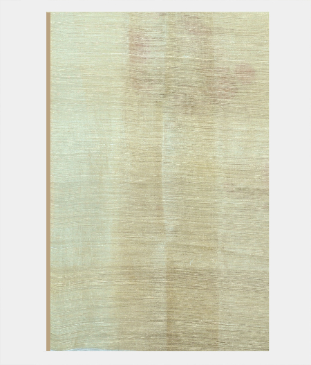 Yellow Tissue Organza Printed Saree  T1987823