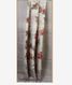 Grey Tissue Organza Printed Saree T1987852