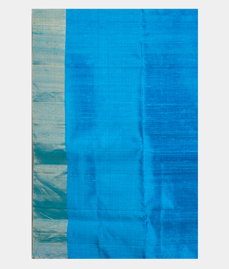 Blue Woven Raw Silk Saree T1974293