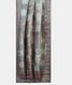 Grey Kora Organza Embroidery Saree T1990842