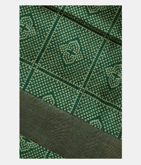 Green Printed Raw Silk Saree T198543-image