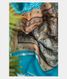 Light Blue Kora Organza Printed Saree T1994701