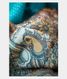 Light Blue Kora Organza Printed Saree T1994702