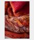 Red Kora Organza Printed Saree T1994602
