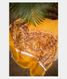 Yellow Kora Organza Printed Saree T1994911
