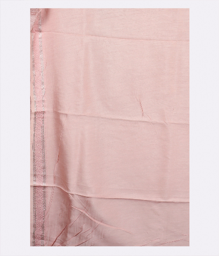 Light Pink Kora Organza Embroidery Saree T1838023