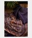 Purple Kora Organza Printed Saree T1994761