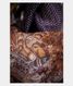 Purple Kora Organza Printed Saree T1994762
