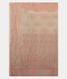 Peach Banaras Georgette Silk Saree T2055594