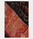 Black Pochampalli Silk Cotton Saree T1887221