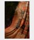Red Tussar Printed Saree T1909701