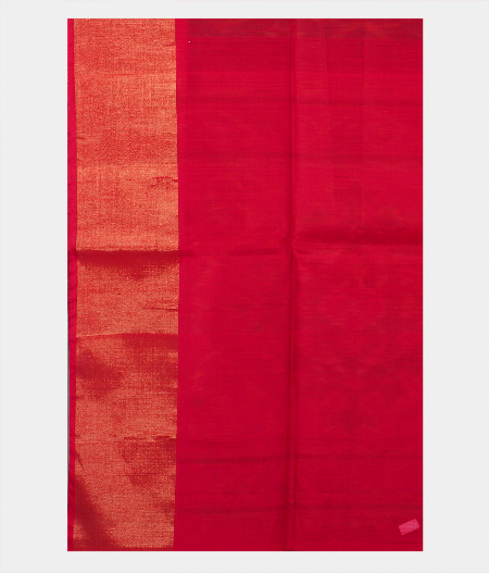 Green Pochampalli Silk Cotton Saree T1887013