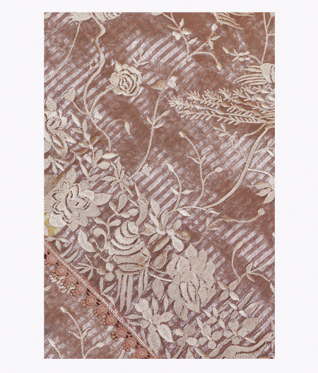 Light Peach Tissue Organza Embroidery Saree T189418-image